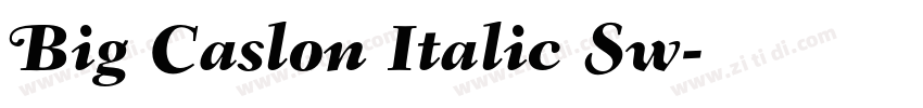 Big Caslon Italic Sw字体转换